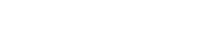 MZV Logo
